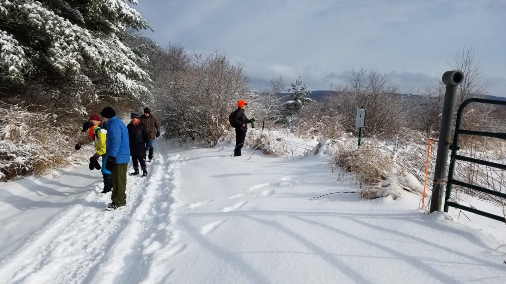 People looking for tracks in the snow.