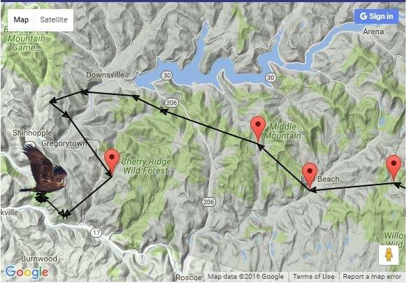 Above is Marie’s location in December 2016 after spending some time in the Adirondacks on her way back to the Catskills from Canada.