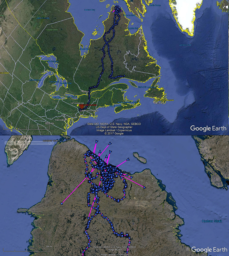 A map of her locations shows Marie recently visited the location where she was in the Summer of 2016.