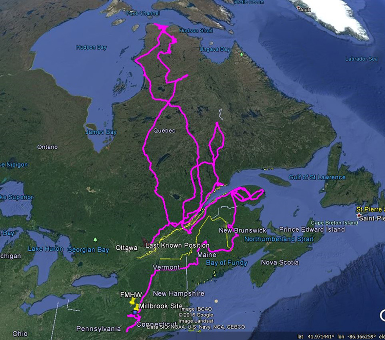 Her last position on this map is near Quebec City. The route on the Gaspe Peninsula and figure 8 into mid-Quebec are from the spring before she headed north to Hudson Strait. Since this map, she continued to slowly move westward to near Montreal.